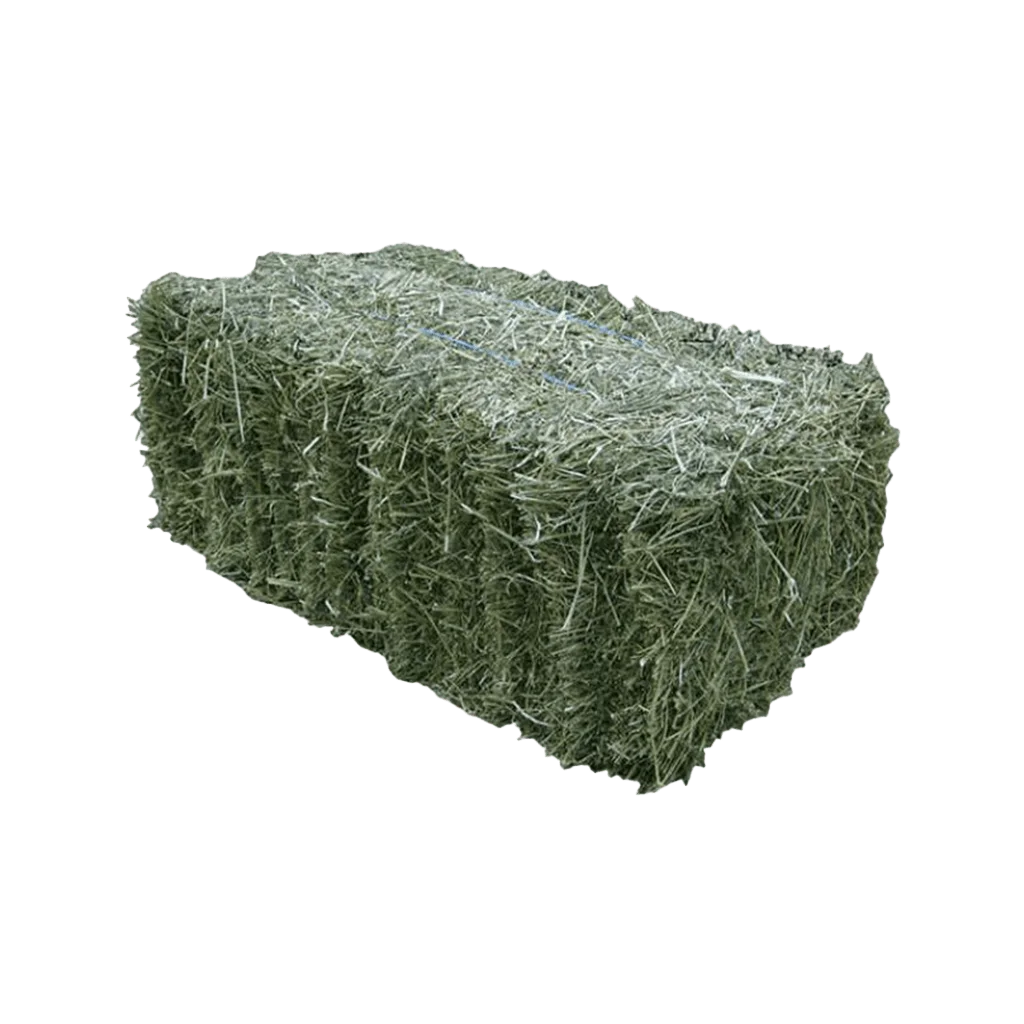 FARDO ALFALFA